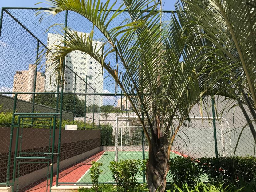 No momento, você está visualizando Onde Comprar Rede para Campo de Futebol